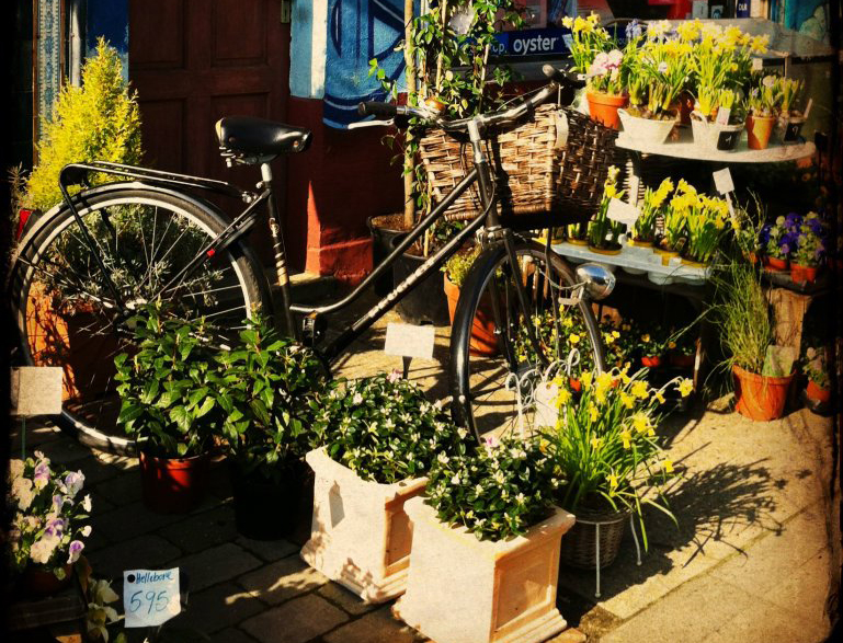 bike at the flower market